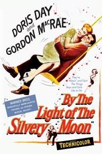 By the Light of the Silvery Moon poster image