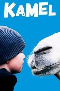 The Arctic Camels logo