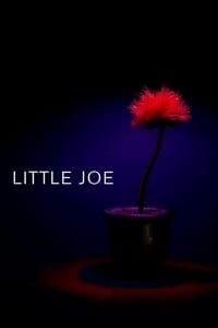 Little Joe poster image