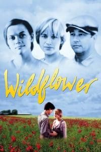 Wildflower logo