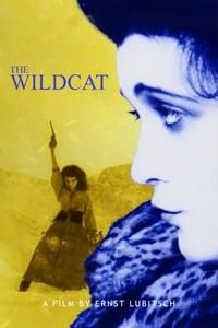 The Wildcat poster image