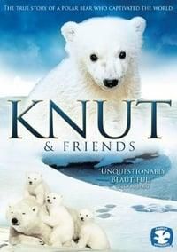 Knut & Friends poster image