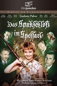 The Haunted Castle poster image