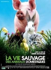 La vie sauvage des animaux domestiques poster image