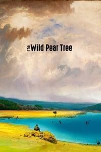 The Wild Pear Tree poster image