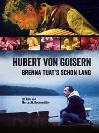 Hubert von Goisern - Brenna tuat's schon lang poster image