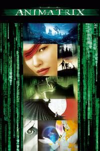 The Animatrix logo