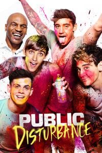 Public Disturbance logo