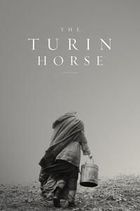 The Turin Horse poster image