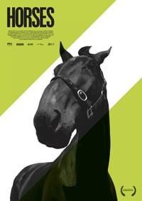 Horses poster image