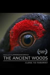 The Ancient Woods poster image