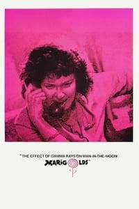 The Effect of Gamma Rays on Man-in-the-Moon Marigolds logo