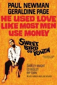 Sweet Bird of Youth logo