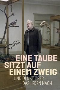 Eine Taube sitzt auf einem Zweig und denkt über das Leben nach poster image
