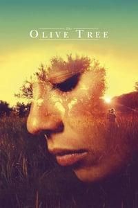 The Olive Tree poster image
