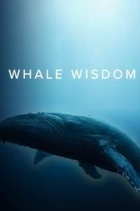 Whale Wisdom logo
