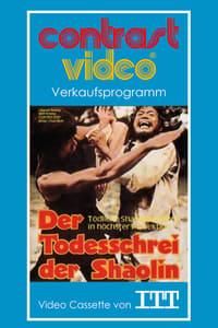 Mysterious Footworks of Kung Fu logo