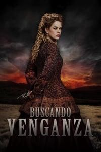 Buscando venganza poster image