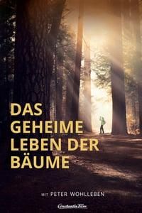 Das geheime Leben der Bäume poster image