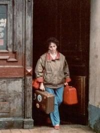 Melek Leaves poster image