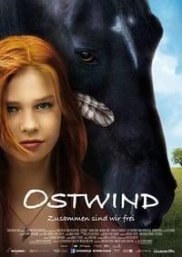 Windstorm poster image