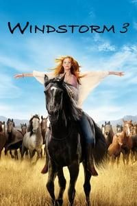Windstorm 3 poster image