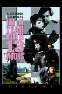 In a Year with 13 Moons poster image