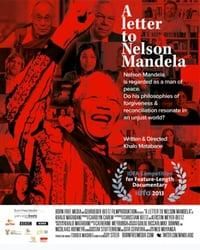 Nelson Mandela: The Myth and Me poster image
