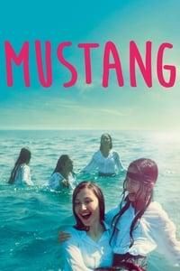 Mustang poster image