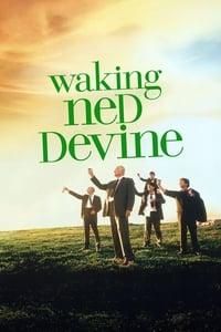Waking Ned poster image