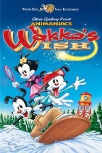 Animaniacs: Wakko's Wish poster image