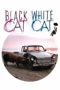 Black Cat, White Cat poster image