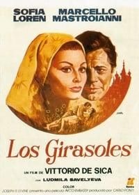 Los girasoles poster image