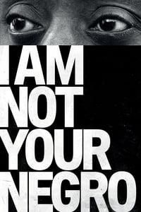 I Am Not Your Negro portrait image