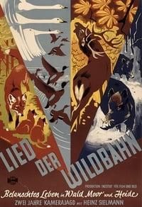 Lied der Wildbahn poster image
