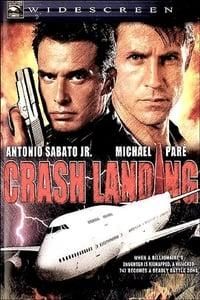 Crash Landing poster image