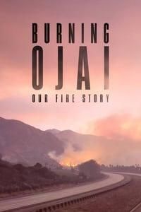 Burning Ojai: Our Fire Story poster image