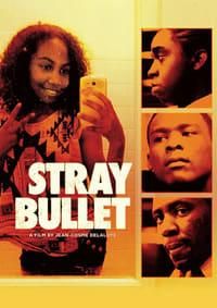 Stray Bullet portrait picture