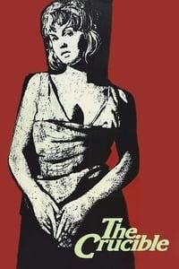 The Witches of Salem poster image