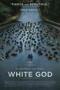 White God poster image