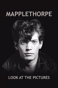 Mapplethorpe: Look at the Pictures poster image