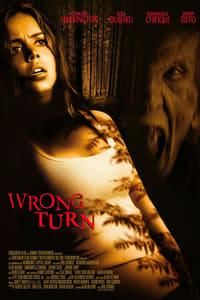 Wrong Turn poster image