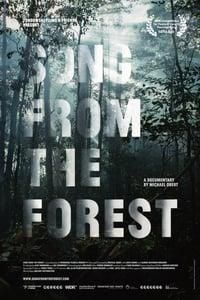 Song from the Forest poster image
