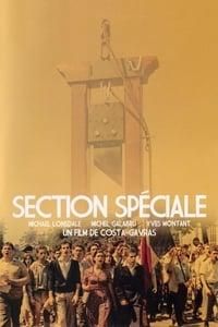 Sección especial poster image