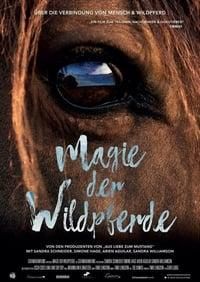 Magic of the Wild Horses poster image