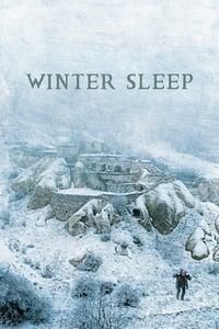 Winter Sleep poster image