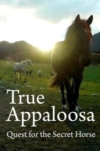 True Appaloosa poster image