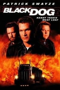 Black Dog poster image