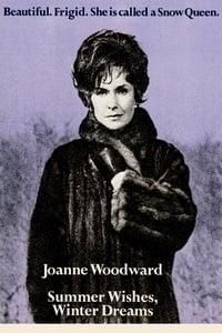 Summer Wishes, Winter Dreams logo