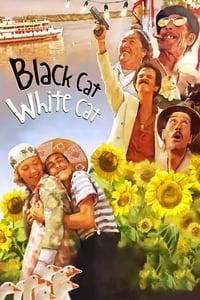 Black Cat, White Cat poster image